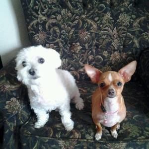 Meet your Posher, Sandy